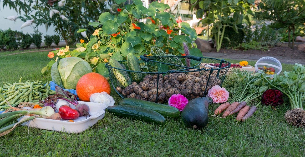 Quels légumes choisir pour son potager?