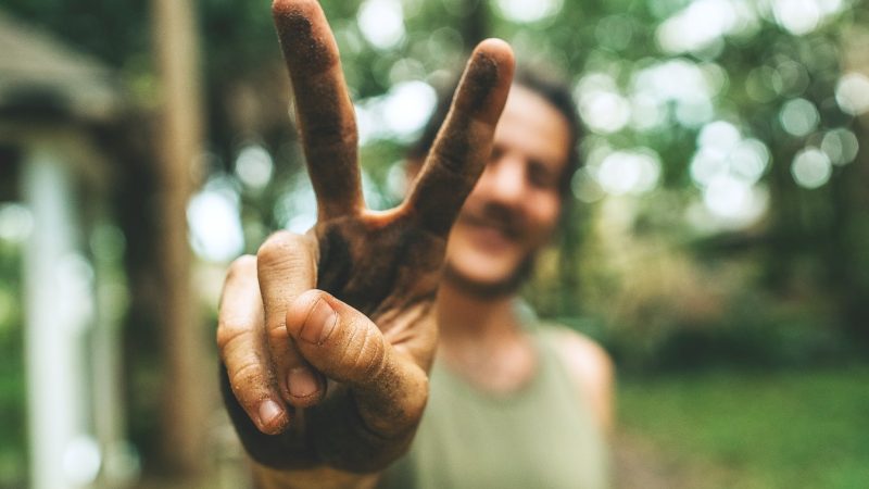 Le sol du jardin : Techniques de traitement