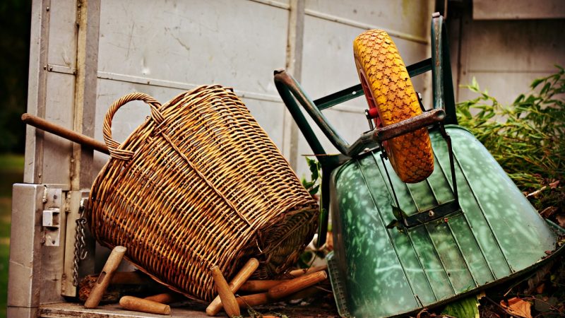 Quand et comment faut-il débroussailler son jardin ?