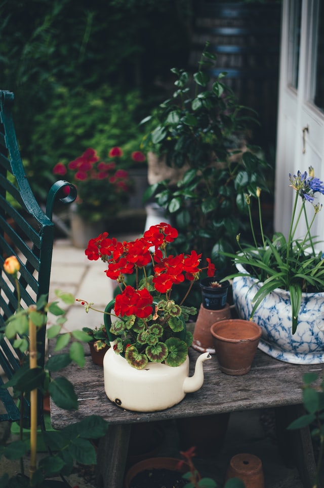 Des plantes et fleurs sur la terrasse : une alternative pour avoir un espace vert en centre-ville