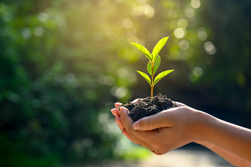 Les conseils de Pascaline pour la décoration de votre jardin